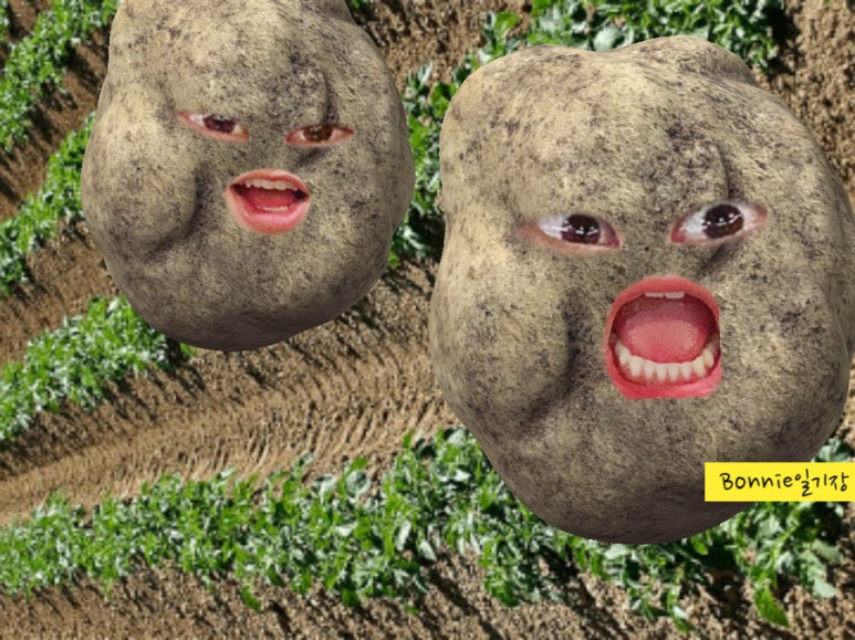 마차다방 이미지