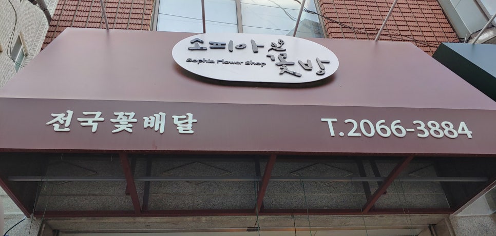 꽃집소피아 이미지