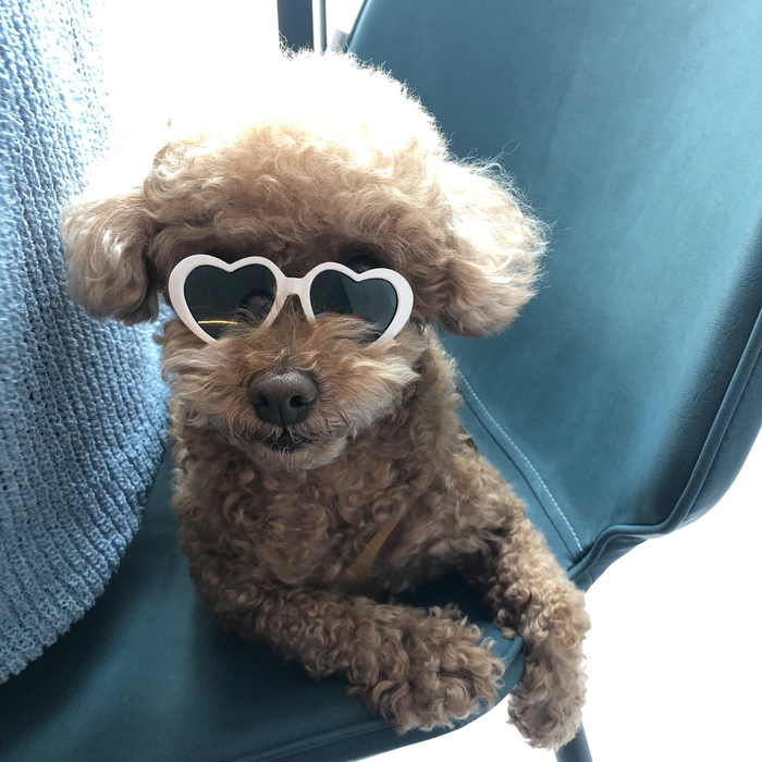 견상낙원 이미지