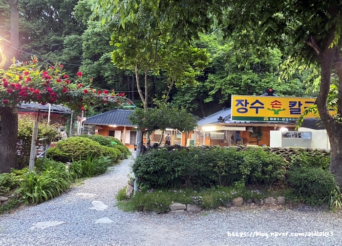 장수손칼국수 이미지