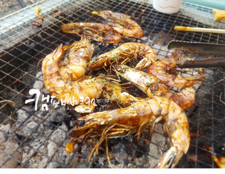 영암프리미엄키즈글램핑 이미지