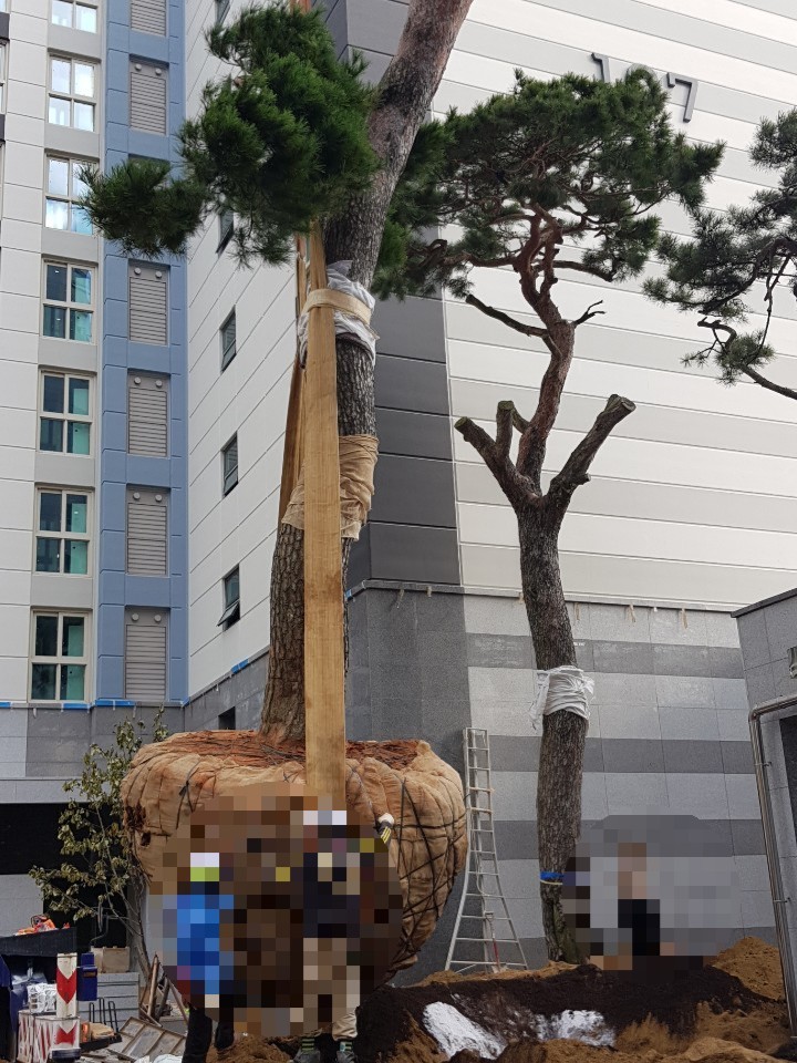 안성조경자재 이미지