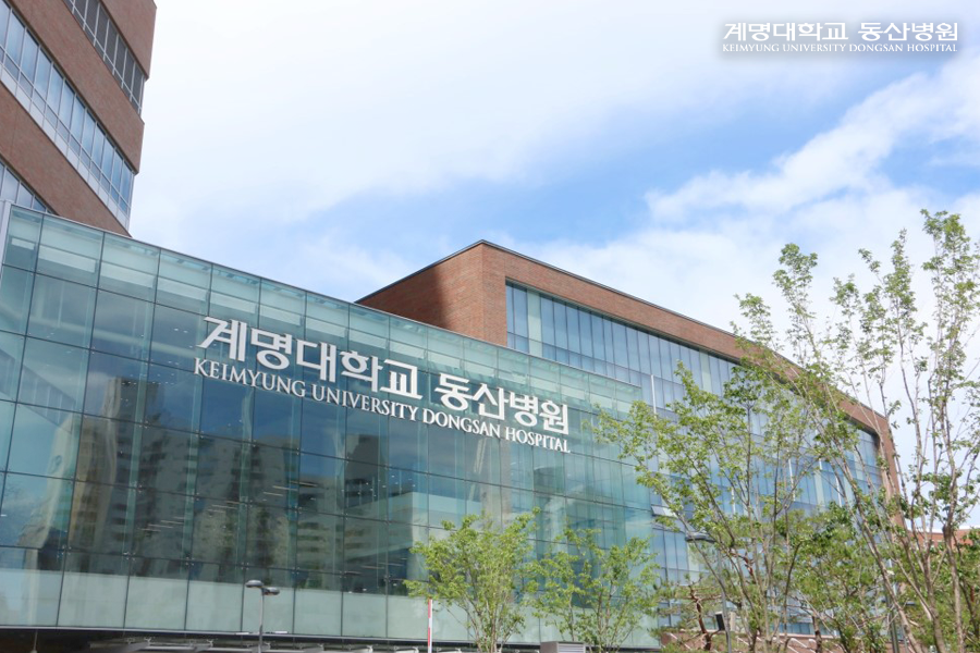 도자기온 이미지