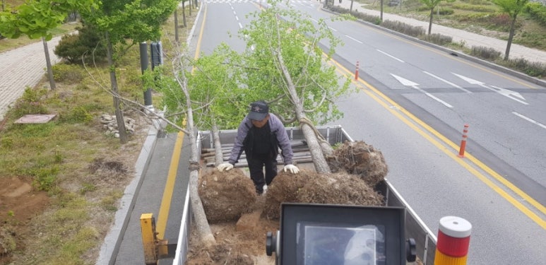 대룡조경 이미지