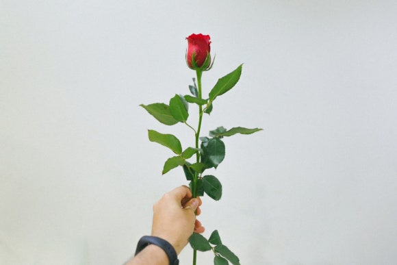 연세프라임병원 이미지