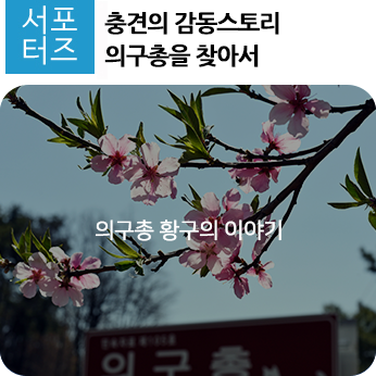 감동스토리 이미지