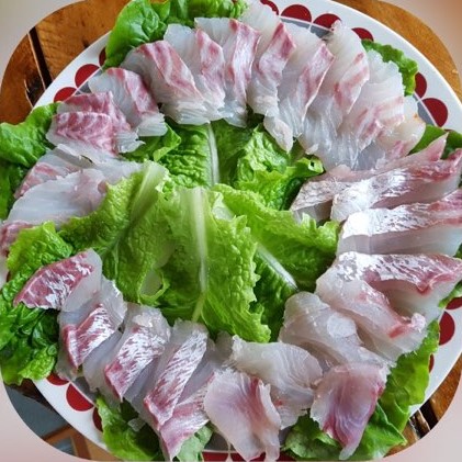 네모선장 이미지