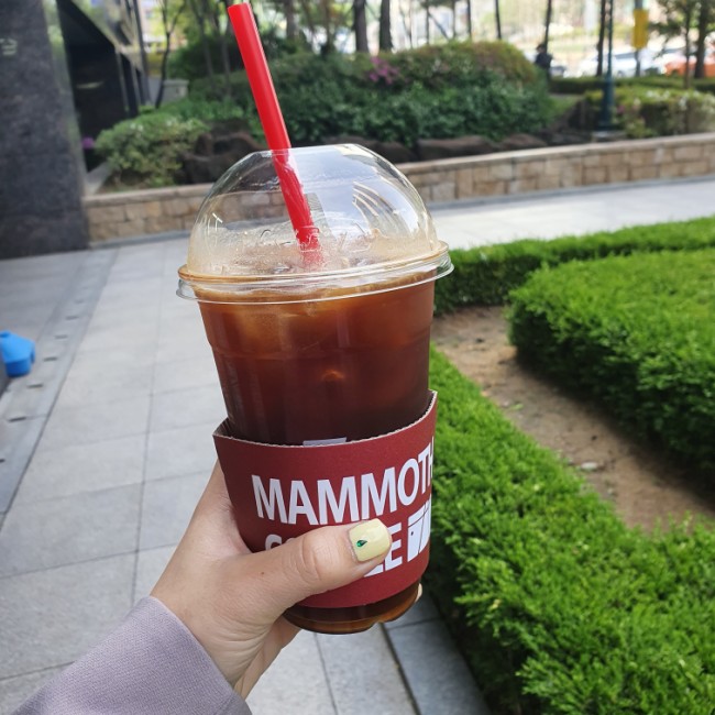 월참치 이미지