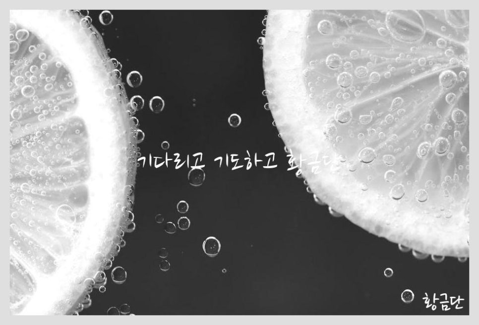 황금단 이미지
