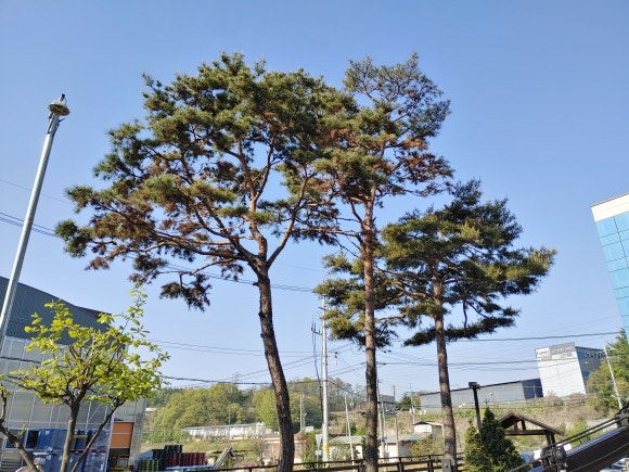 (주)진성에프엠 이미지