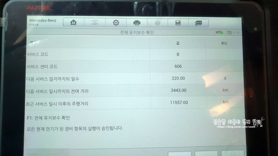 애니카랜드 이미지