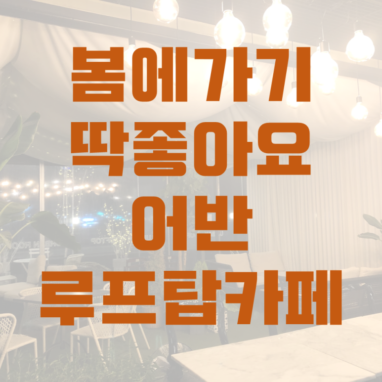 달빛아래 맥주한잔 이미지