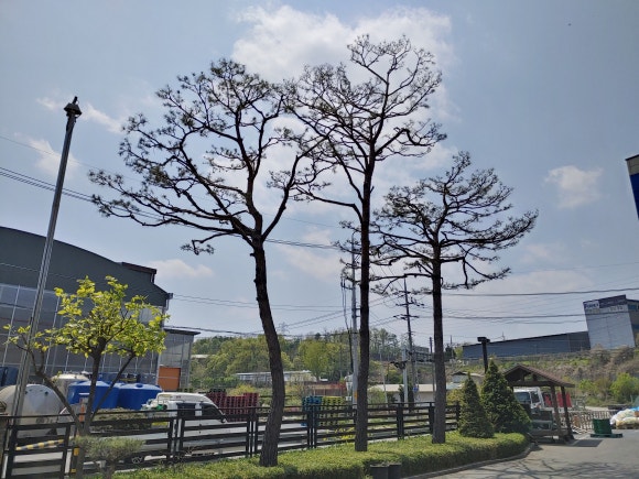 (주)진성에프엠 이미지