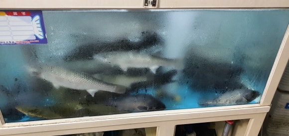 덕산활어횟집 이미지