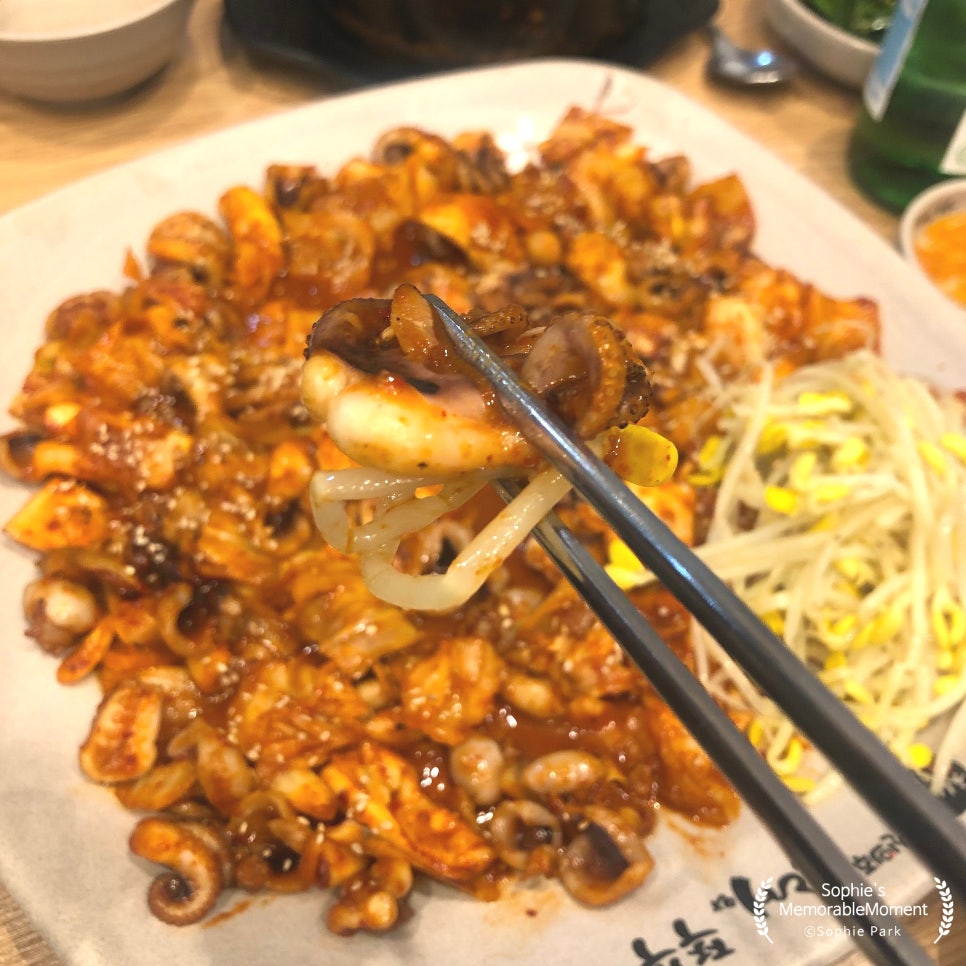 직화 쭈꾸쭈꾸 이미지