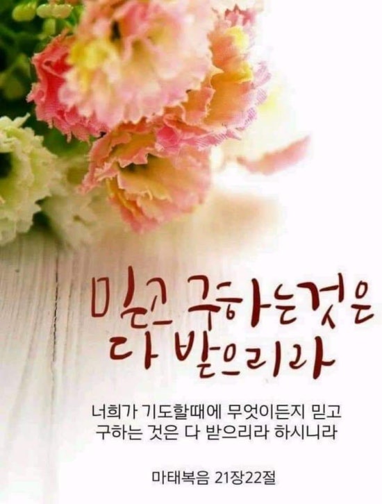 금채샵 이미지