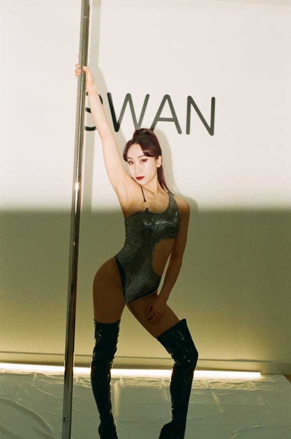 스완폴댄스 이미지