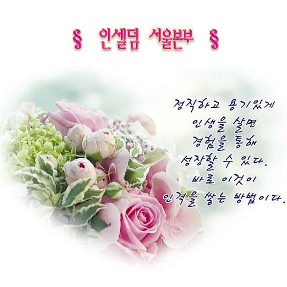 인셀덤 선릉대리점 이미지
