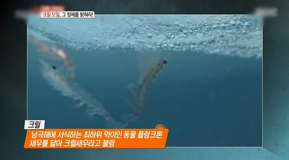 모두오일 이미지