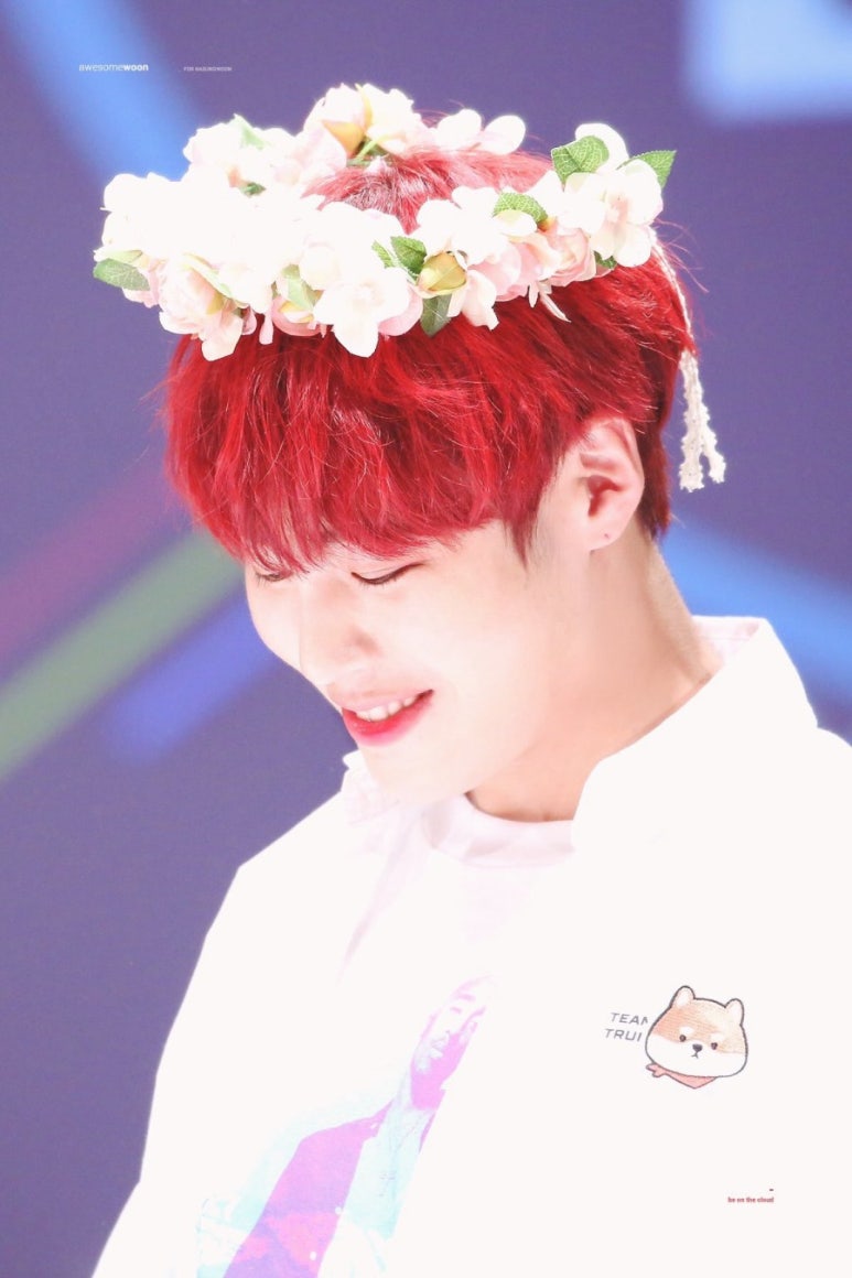 오늘, 꽃데이 이미지
