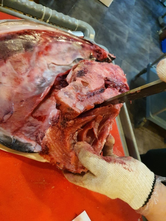 감리교회 옆 이미지