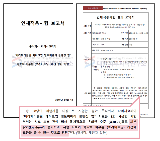 리클린 이미지