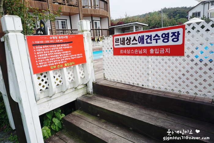 프리지아103 이미지