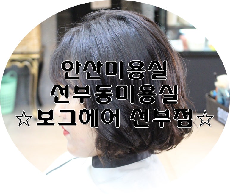보그헤어 선부점 이미지