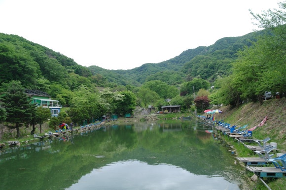 비학농원 캠핑장 이미지