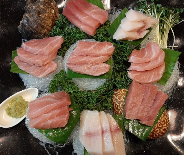 참치바라기 이미지