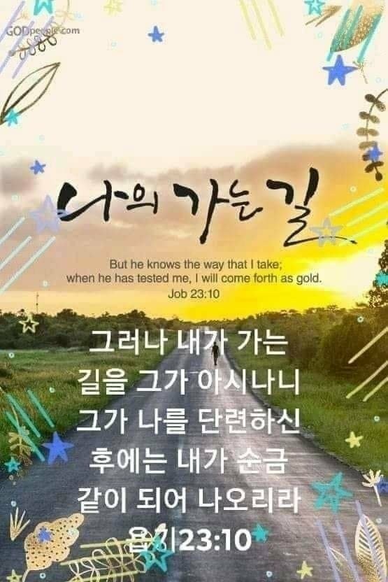 옷사랑 이미지