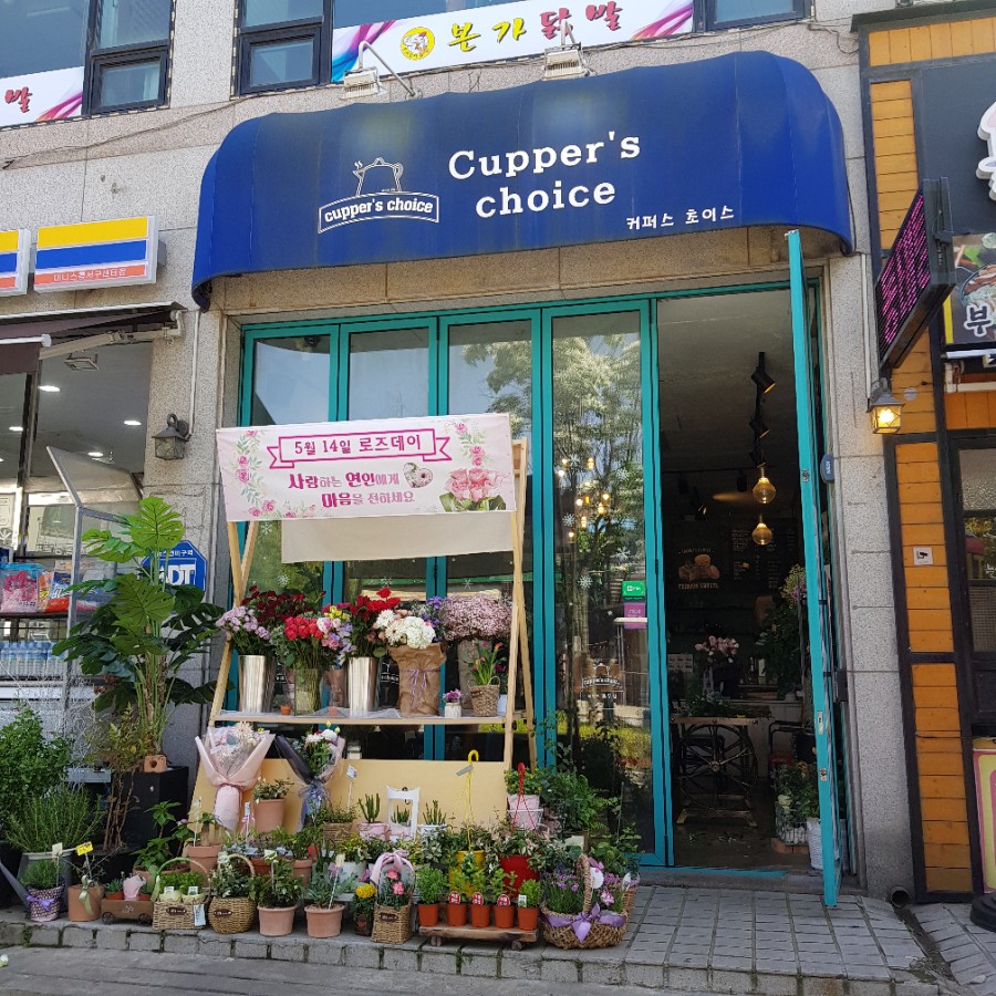 커퍼스초이스 이미지