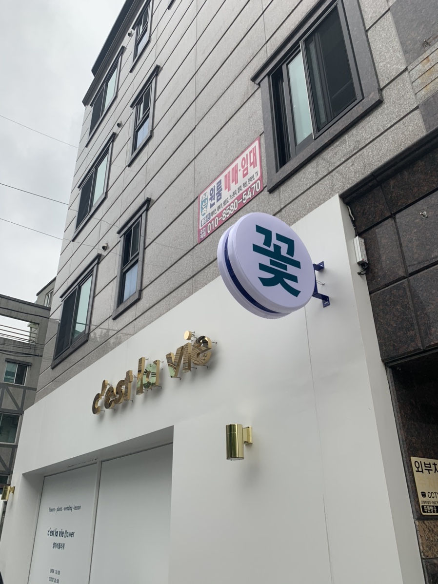 셀라비플라워 이미지