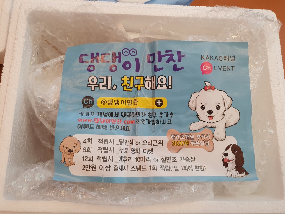 댕댕이 만찬 이미지