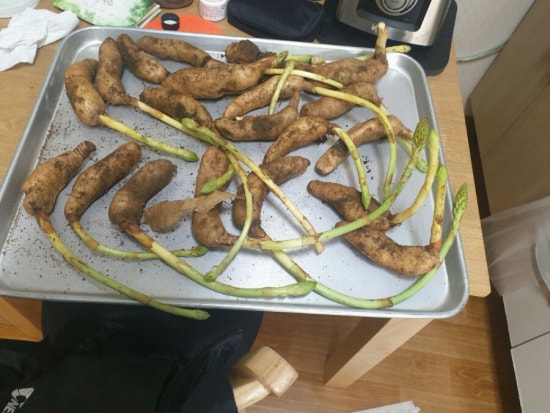 산약초이야기 이미지