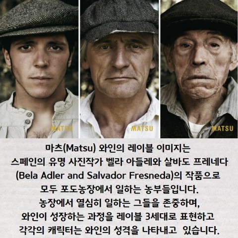 와퐁 이미지