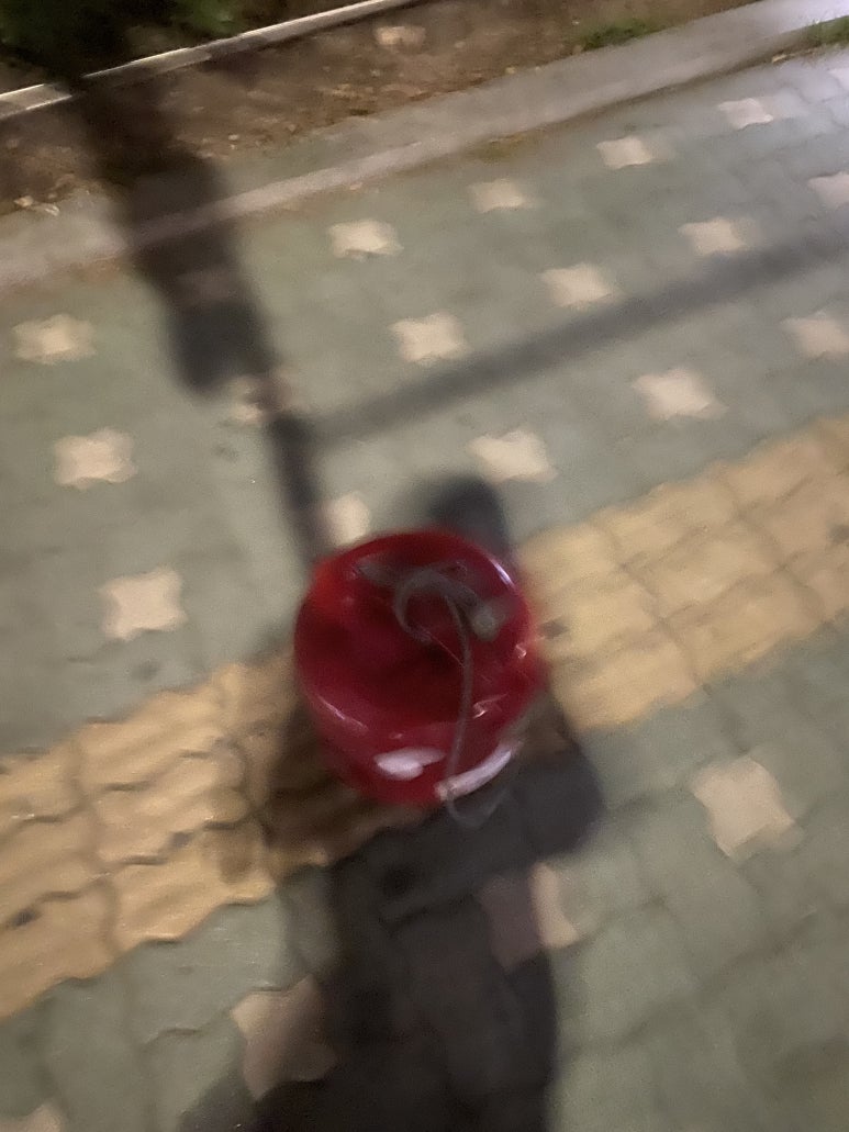 꿈에 그릭 이미지