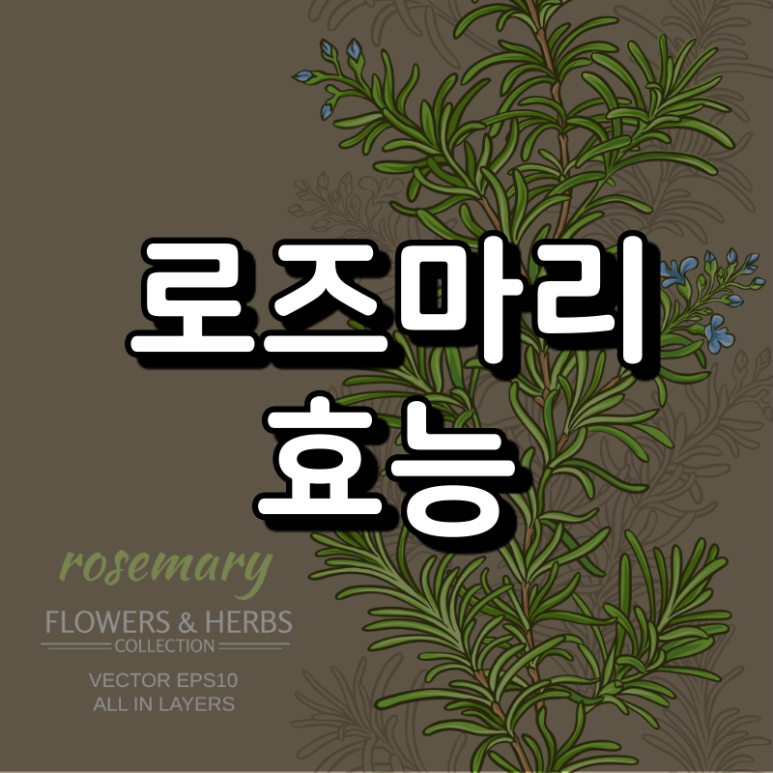 로즈마리상사 이미지