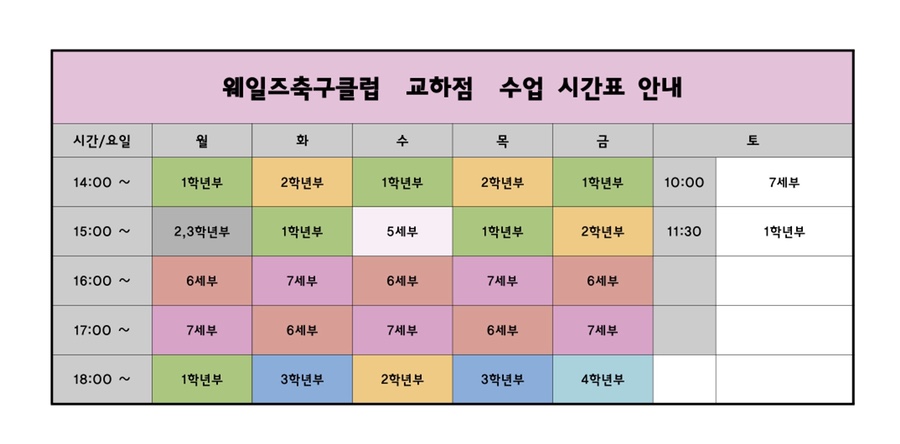 웨일즈에프씨 이미지