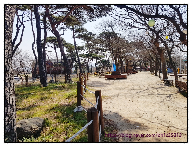 모  항 이미지