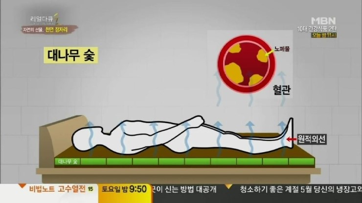 신비로숯침대 이미지