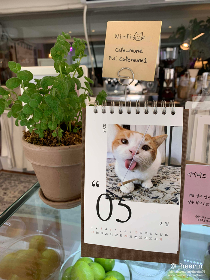 MUNE(무네) 이미지