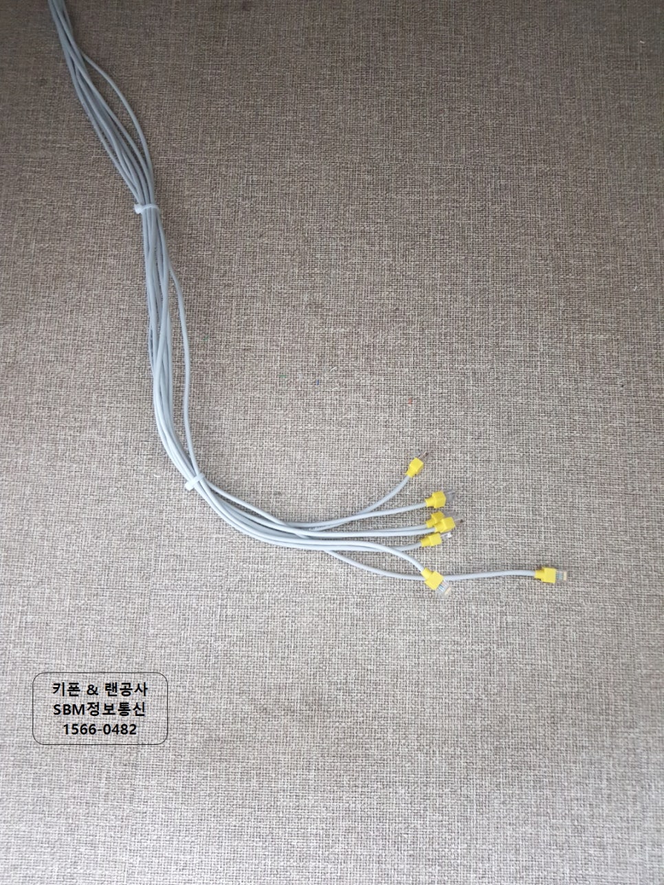 에스비엠 이미지