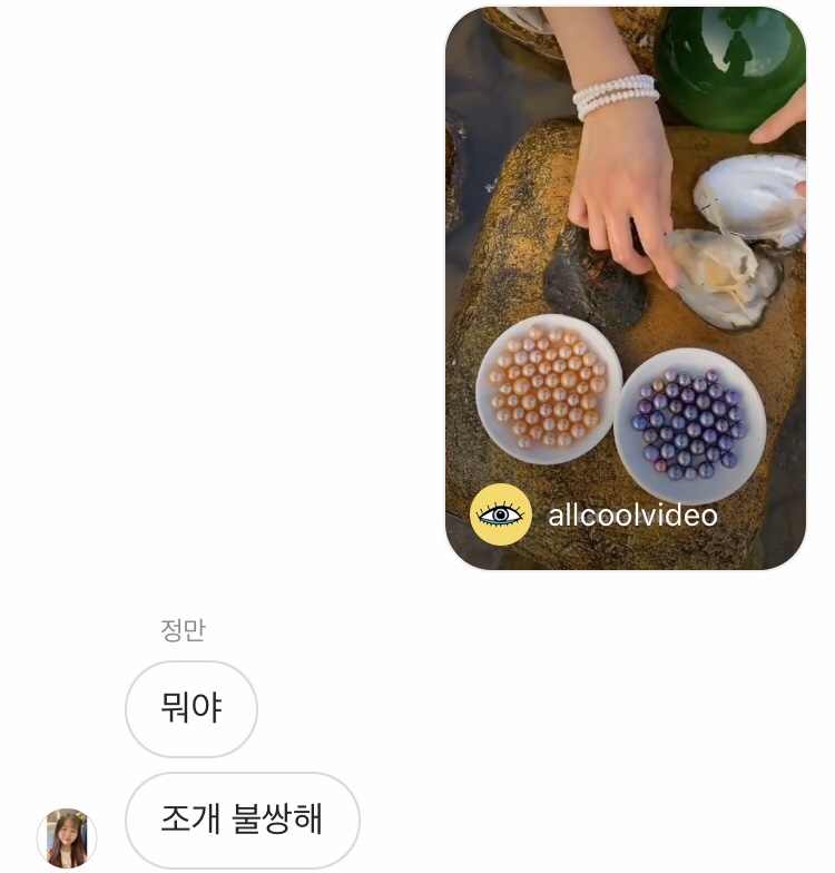 코코줌마 이미지