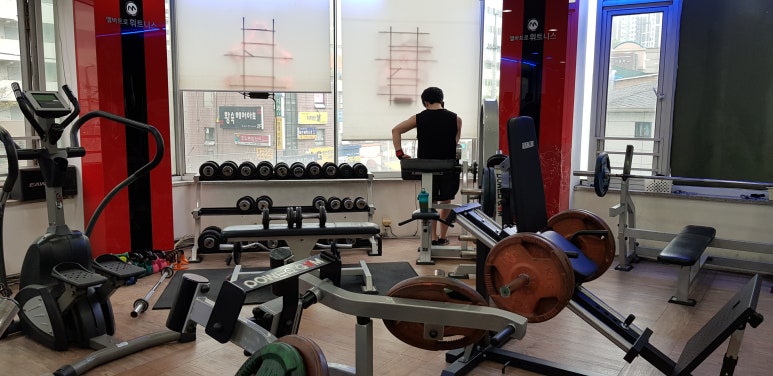 앨바트로휘트니스 이미지