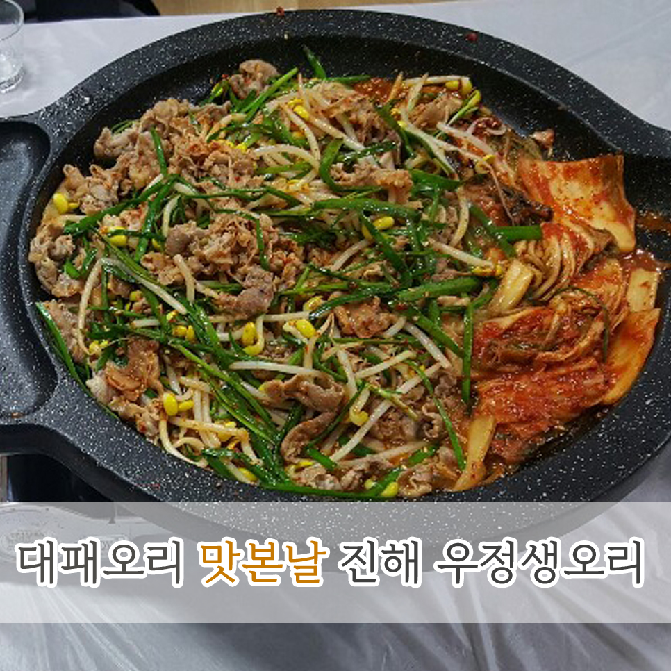 우정생오리 이미지