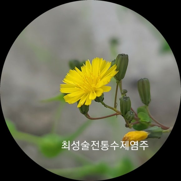 수안공방 이미지