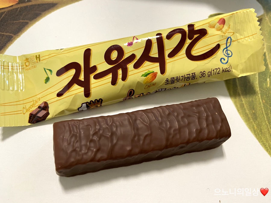 자유시간 이미지