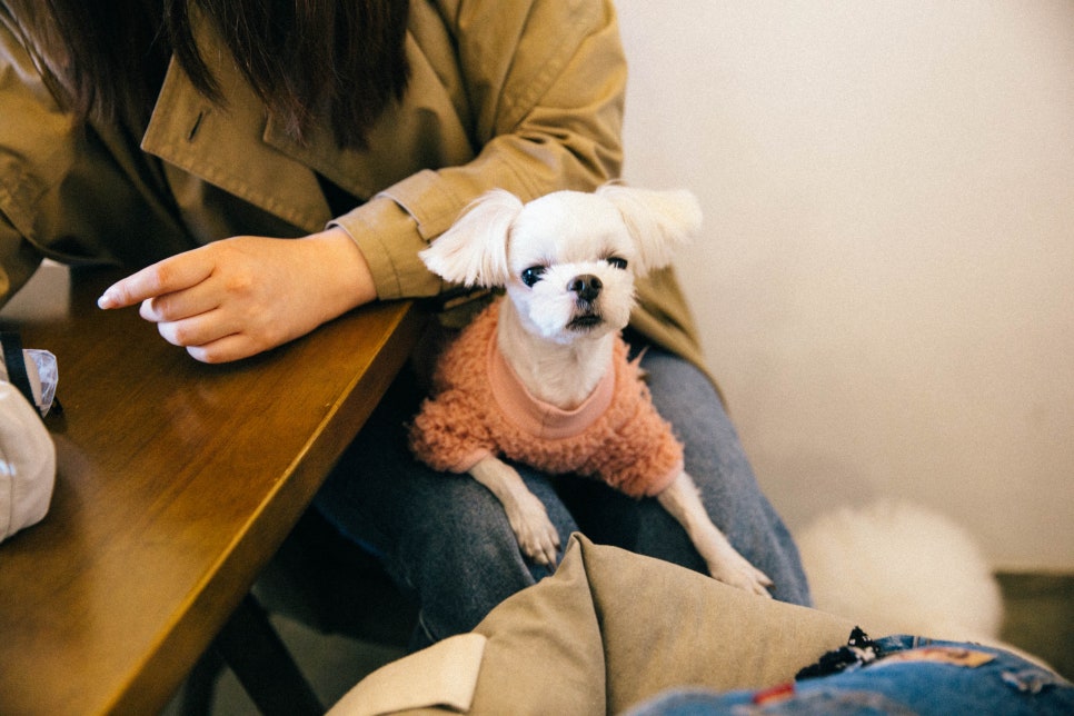 이목 카페 이미지
