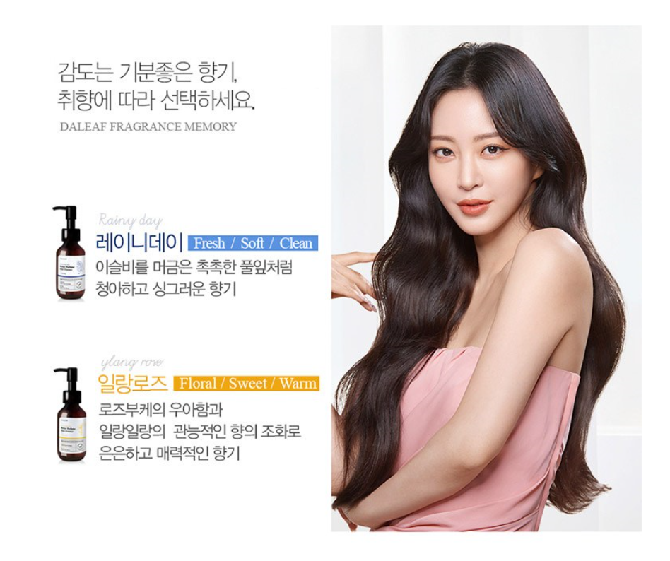 헤어베러데이 이미지